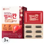 밀크씨슬 추천 TOP 5 : 간 건강을 위한 최적의 선택 가이드