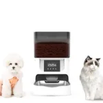 고양이 및 강아지가 출연한 자동급식기 추천 제품