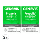 프로폴리스 추천 BEST 3 구매전 필독 사항